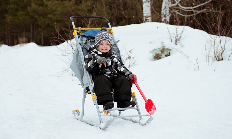 Санки коляска в чем плюсы