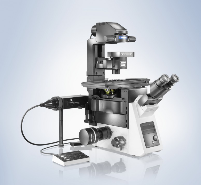 Качественные оптические микроскопы