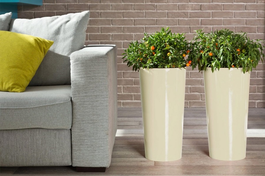 Большие горшки для цветов: как выбрать