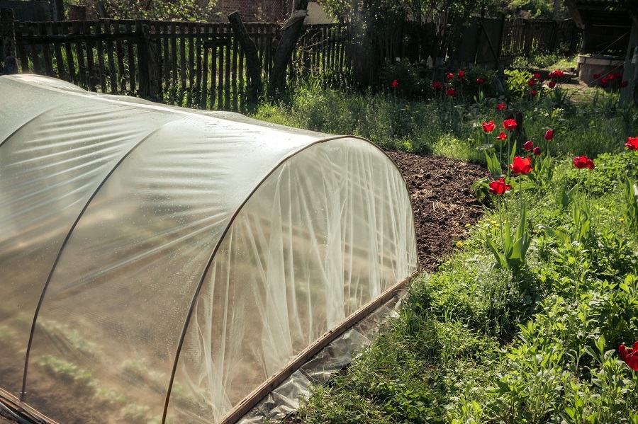 Выбираем пленку для теплицы