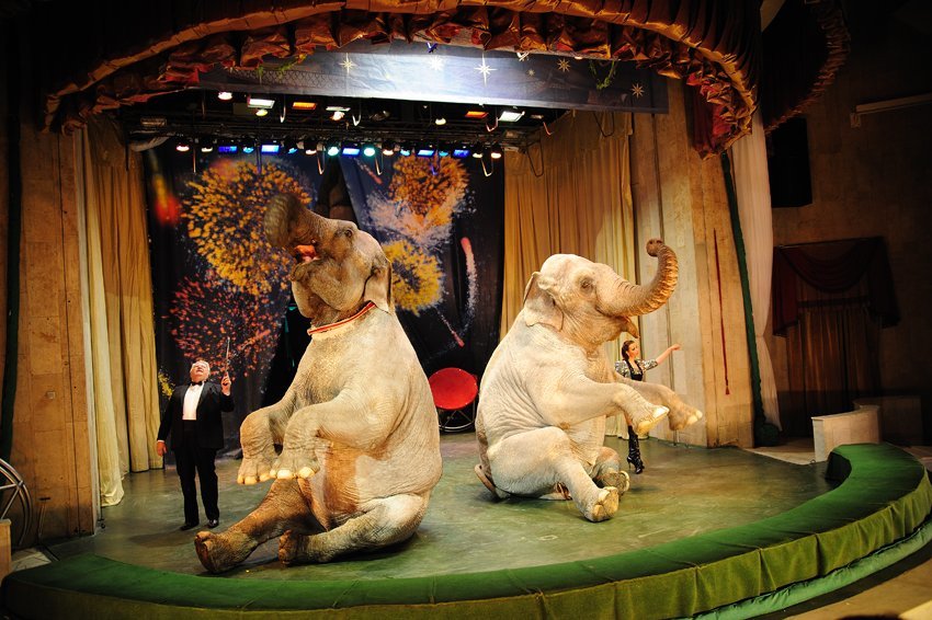 Куда сходить на выходные