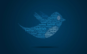 Как накрутить подписчиков в Твиттере: купить или набрать бесплатно?