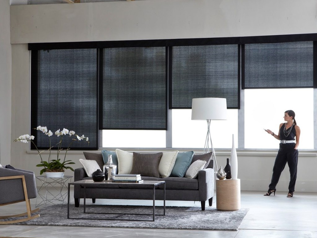 Жалюзи: виды и особенности современных солнцезащитных систем