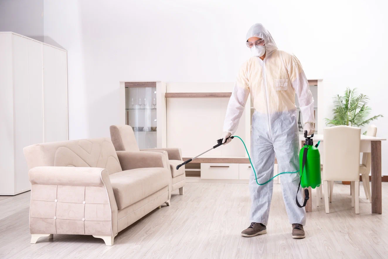 Эффективные способы уничтожения клопов в квартире