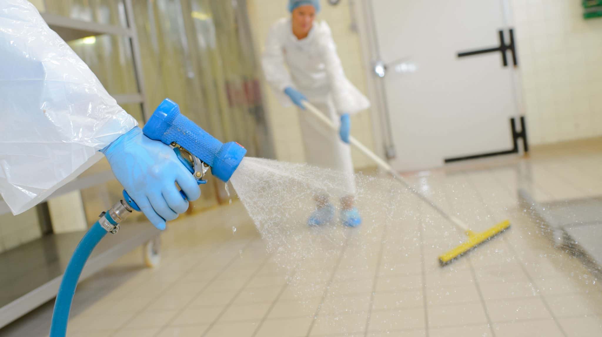 Дезинфекция в Калуге: безопасно для детей, животных и даже любимых растений