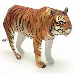 Бумажная модель - Тигр