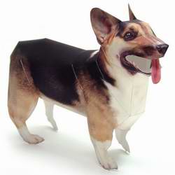 Бумажная модель - Собака