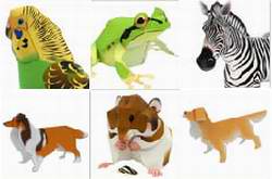 Бумажные модели животных