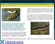 Большая энциклопедия России