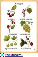 Моя первая книга, самая любимая - от 6 мес. до 3 лет