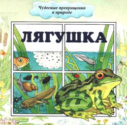 Чудесные превращения в природе: Лягушка. Цветок. Птица. Бабочка
