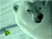 Удивительный мир животных Disney (Медведи) / El Maravilloso Mundo de los Animales Disney (Los Osos)/ DVDRip