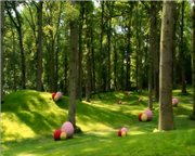 В ночном саду: Привет, Макка Пакка / In The Night Garden - Hello Makka Pakka / 2008 / DVDRip