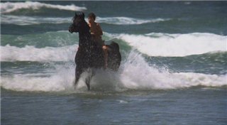 Черный скакун / The Black Stallion (1979) DVDRip