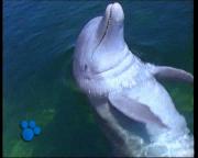 Удивительный мир животных Disney / El Maravilloso Mundo de los Animales Disney (№7-11) DVDRip