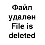 Ученик волшебников