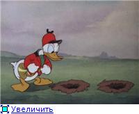Дональд Дак - Большая Коллекция [36 серий] (1936-1941) DVD9