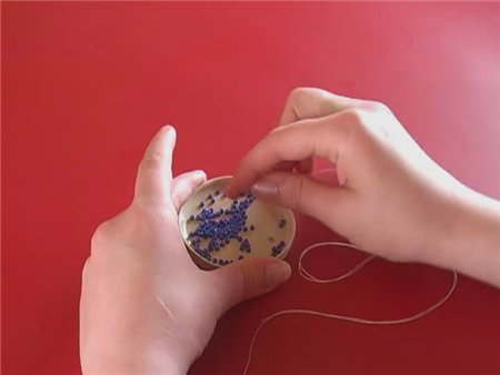 Бисероплетение. Часть 1 (2009 / DVDRip)