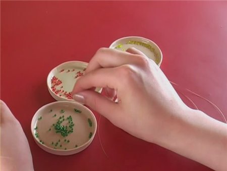 Бисероплетение. Часть 2 (2009 / DVDRip)