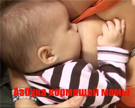 Азбука кормящей мамы (2008 / DVDRip)