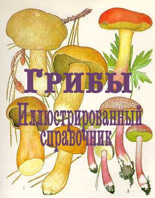 Грибы. Иллюстрированный справочник (2008 / RUS)