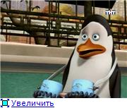 Пингвины Мадагаскара 1 сезон