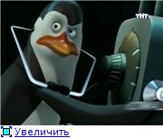 Пингвины Мадагаскара 1 сезон