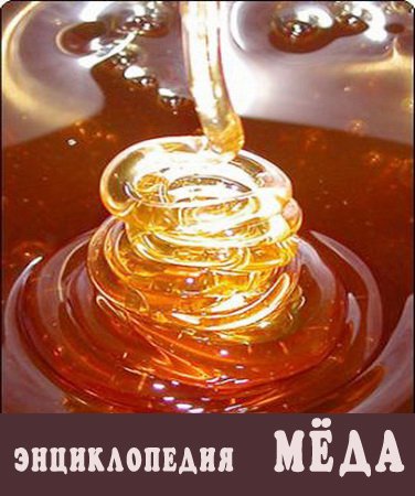 Энциклопедия мёда