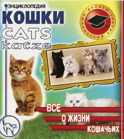 Энциклопедия Кошки. Все о жизни кошачьих