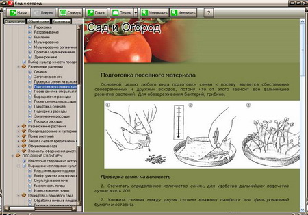 Сад и огород. Энциклопедия