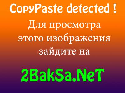 Axel & Pixel (2010/Multi5)