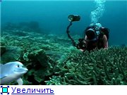 Ребенок Гений: Подводные приключения / Baby Genius: Underwater Adventures / 2004 /DVDRip