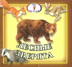 Лесные зверята