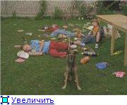 Ералаш (1-19 выпуски из 233) (1974-2010) DVDRip