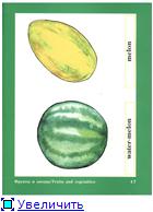 Кириллова Ю. В. - Английский в картинках для самых маленьких (2009) PDF