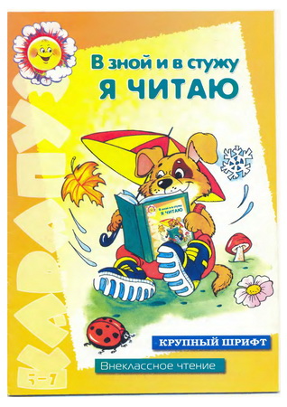 В зной и в стужу я читаю. Внеклассное чтение