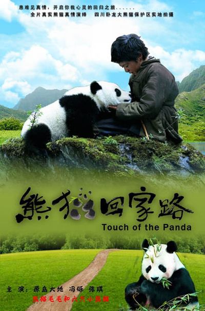 След панды / Trail of the Panda / Xiongmao hui jia lu (2009/DVDRip/1400Mb)