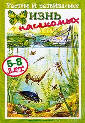 Жизнь насекомых. Растём и развиваемся