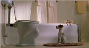 Мой пес Скип / My Dog Skip (2000)DVDRip