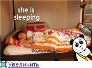 Little Pim: Английский язык. Выпуск 1-3 /Little Pim: Disc 1-3. English / 2007 / DVD5 + DVDRip