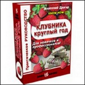 «Клубника: круглый год. Практическое руководство»