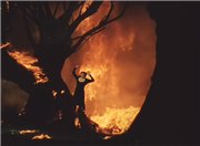 Синяя птица / The Blue Bird (1940) DVDRip