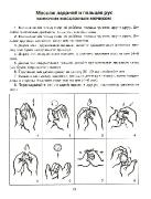 Первые шаги. Развиваем мелкую моторику у малышей