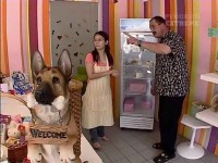 В поисках приключений - Сингапур, Мексика, Намибия (2006) SATRip