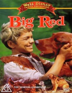 Большой Рыжий /Big Red (1962) DVDRip