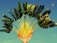 Тайнам нет. Люди. Общество. Планета / Вода. Существо или вещество? (2011) DVDRip