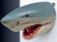 Тайнам нет. Люди. Общество. Планета / Вода. Существо или вещество? (2011) DVDRip