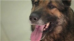 Колыбель (2011/DVDRip)