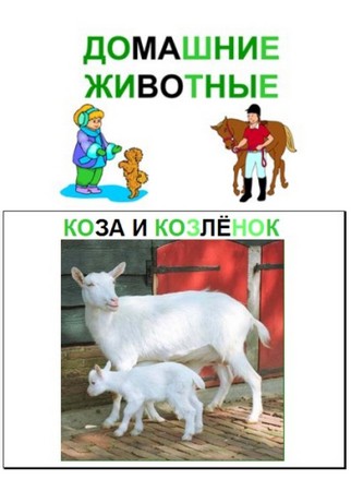 Подборка презентаций с красочными фотографиями и названиями домашних животных и птиц.