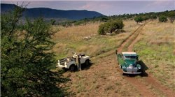 Белый лев / White Lion (2010/BDRip/HDRip)